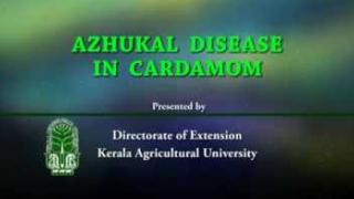 Embedded thumbnail for Azhukal Disease in cardamom